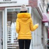 Geaca iarna matlasata galbena cambrata din puf sintetic cu gluga cu blana eco gdi001 Geaca iarna matlasata galbena cambrata din puf sintetic cu gluga cu blana eco gdi001
